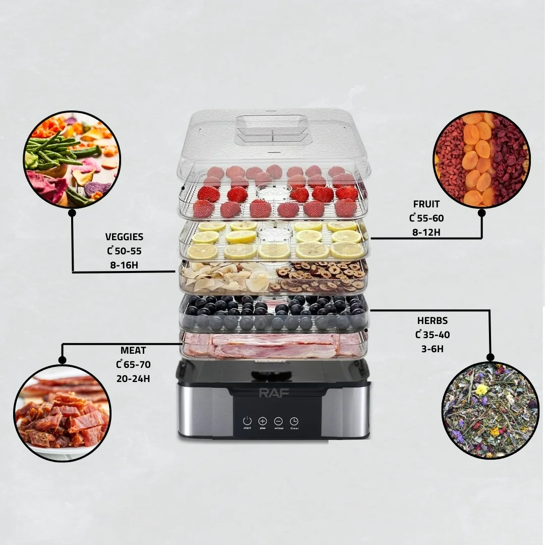 میوه خشک کن راف مدل R6801